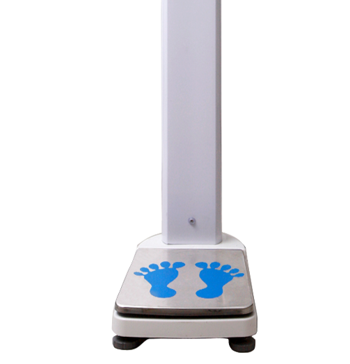 �O����y(c��)�������z�y(c��)